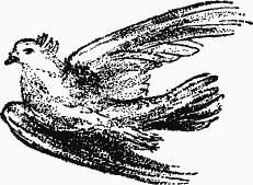 Птица-Радость. Рассказы о голубиной охоте. - i842d2b861b