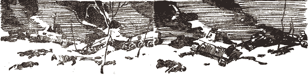 Партизан Фриц - i_015.png