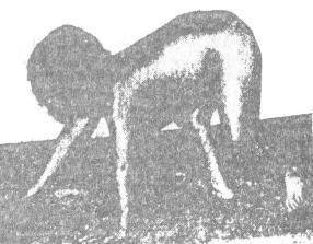 Легко ли быть оборотнем? - i_003.jpg