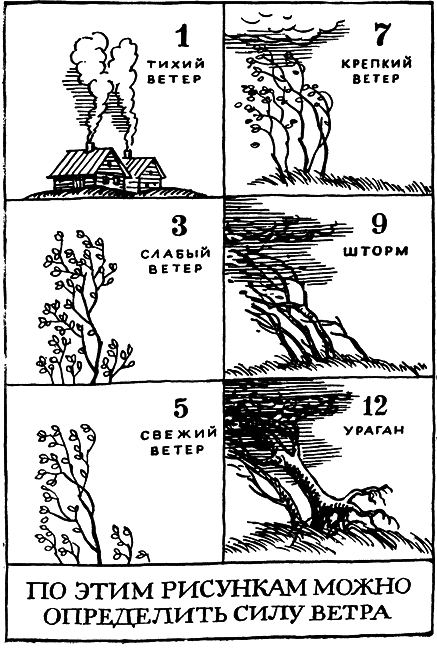 Необыкновенное и грозное в природе - i_009.png