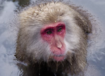 Китай. Путеводитель. Узнать на 20% больше, заплатить на 20% меньше - i_009.jpg