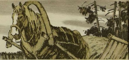 Дорога к дому - i_006.jpg