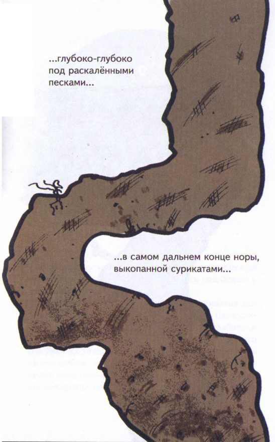 Сурикаты-сумасброды. Невероятно смешные приключения в пустыне - i_007.jpg