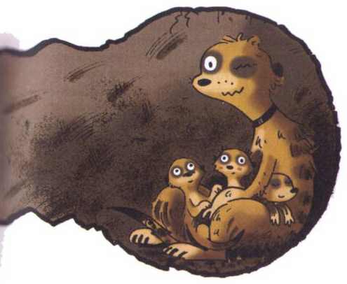 Сурикаты-сумасброды. Невероятно смешные приключения в пустыне - i_009.jpg