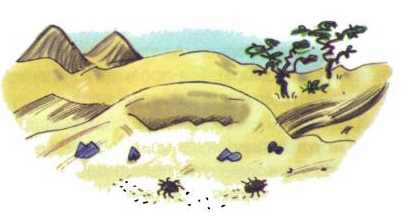 Сурикаты-сумасброды. Невероятно смешные приключения в пустыне - i_022.jpg