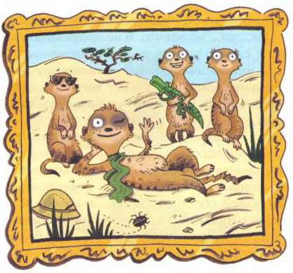 Сурикаты-сумасброды. Невероятно смешные приключения в пустыне - i_069.jpg