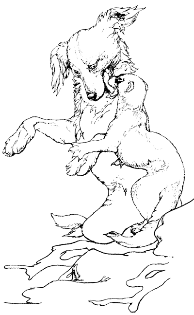 21 день - i_001.png