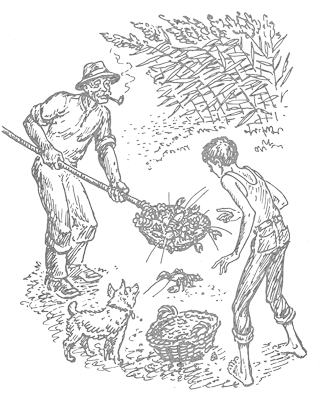 Терновая крепость - i_002.png