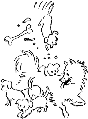 Воспоминания охотничьей собаки - i_017.png