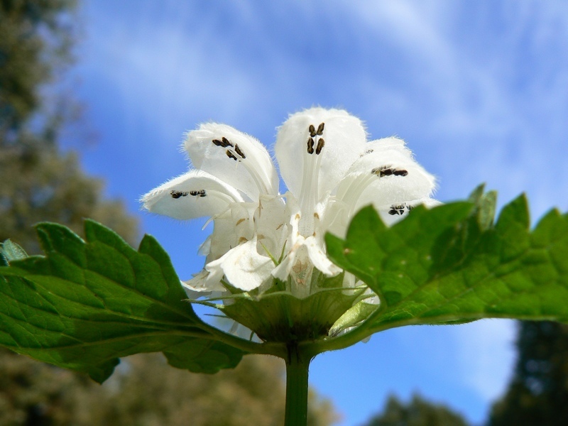В поисках Аполлона - _10.jpg