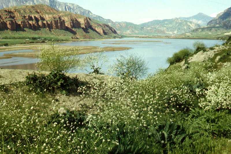 В поисках Аполлона - _20.jpg