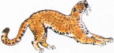 Кто они такие? - i_001.jpg