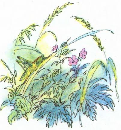 Кто они такие? - i_004.jpg