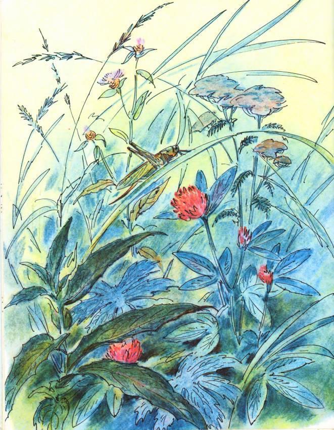 Кто они такие? - i_005.jpg