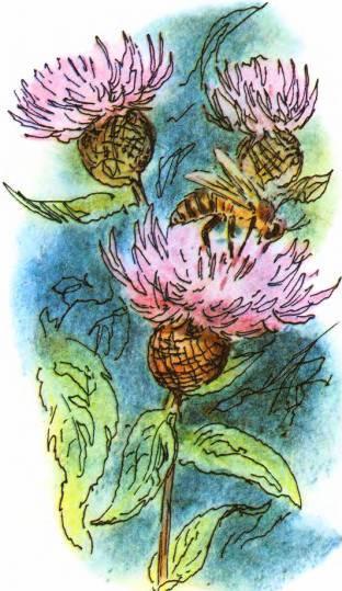 Кто они такие? - i_013.jpg