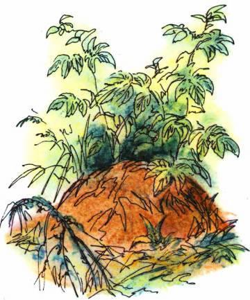 Кто они такие? - i_041.jpg