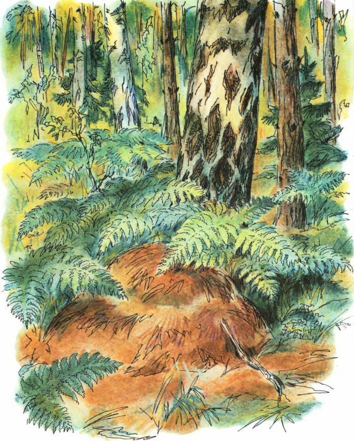 Кто они такие? - i_043.jpg