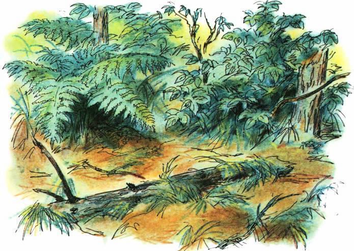 Кто они такие? - i_044.jpg