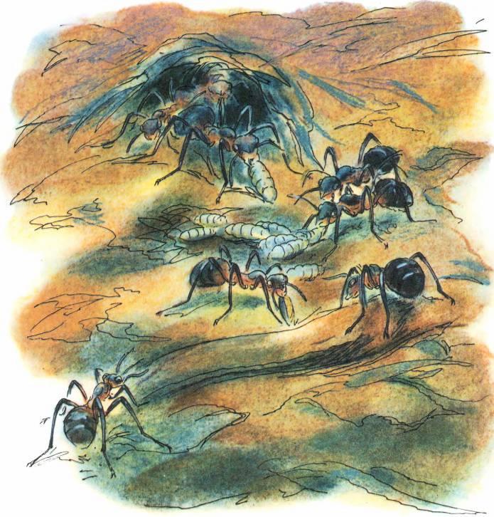 Кто они такие? - i_046.jpg