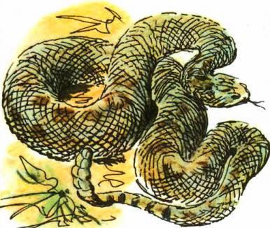 Кто они такие? - i_066.jpg