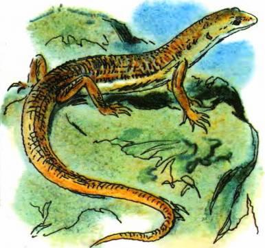 Кто они такие? - i_067.jpg