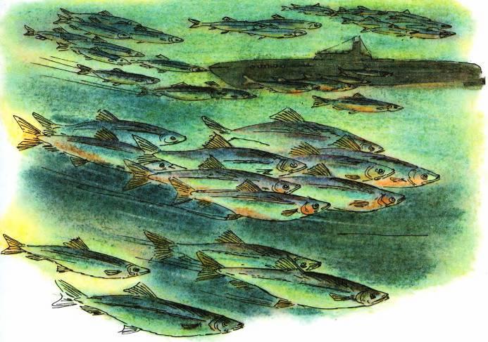 Кто они такие? - i_068.jpg