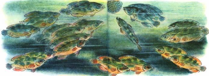 Кто они такие? - i_070.jpg