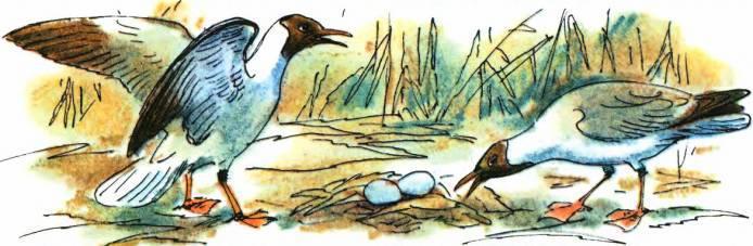 Кто они такие? - i_075.jpg