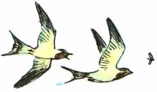 Кто они такие? - i_087.jpg