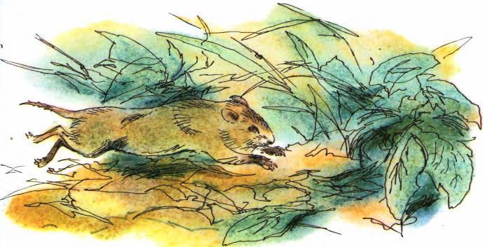 Кто они такие? - i_091.jpg