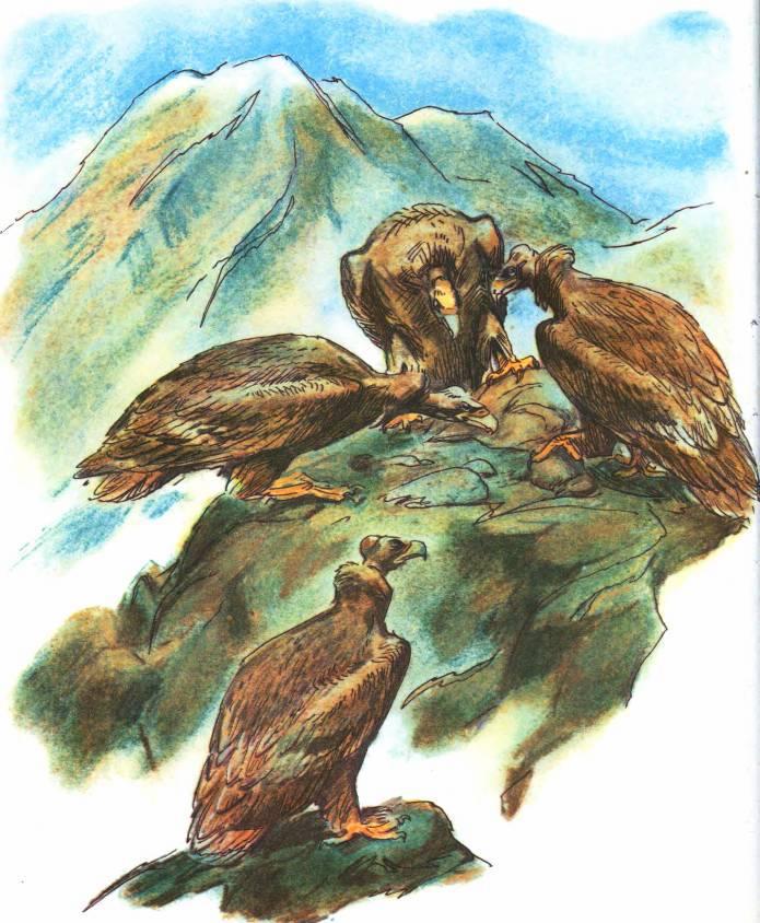 Кто они такие? - i_092.jpg