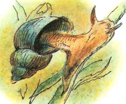 Кто они такие? - i_095.jpg