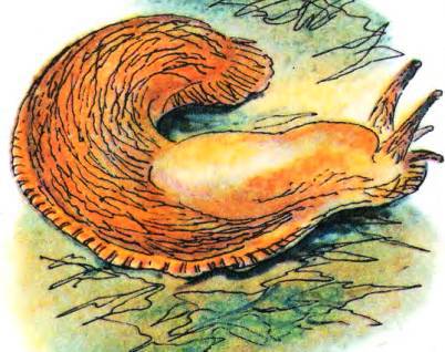 Кто они такие? - i_096.jpg