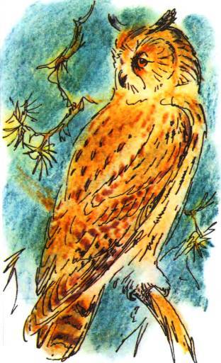 Кто они такие? - i_099.jpg