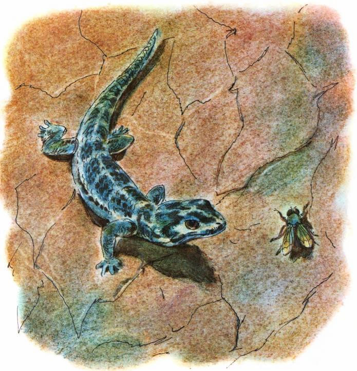 Кто они такие? - i_103.jpg