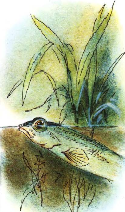 Кто они такие? - i_105.jpg