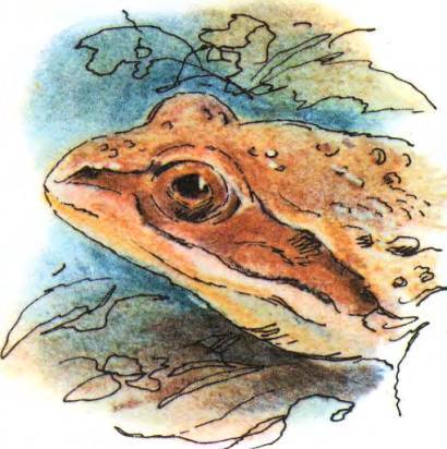 Кто они такие? - i_107.jpg