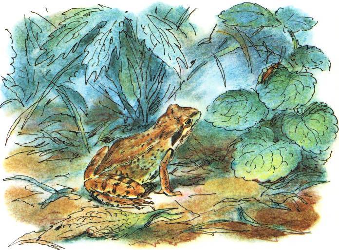 Кто они такие? - i_109.jpg