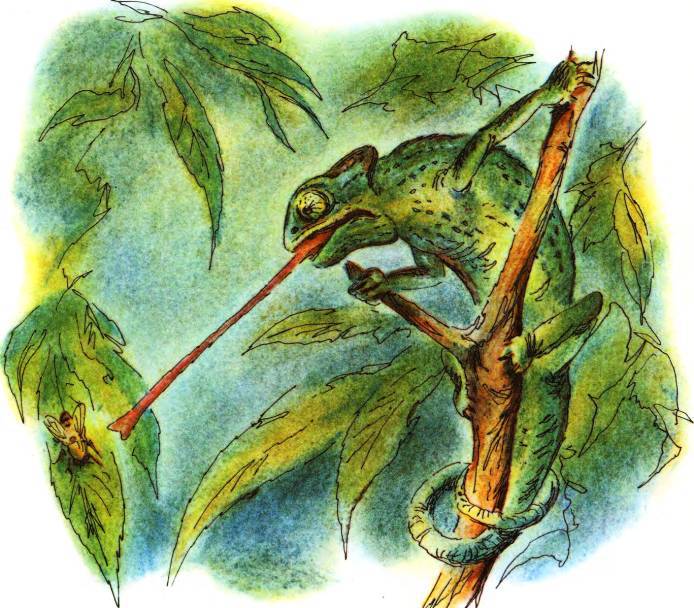 Кто они такие? - i_116.jpg