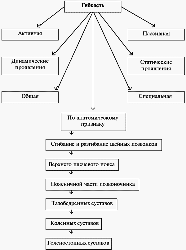 Стройность с детства: как подарить своему ребенку красивую фигуру - i_026.png