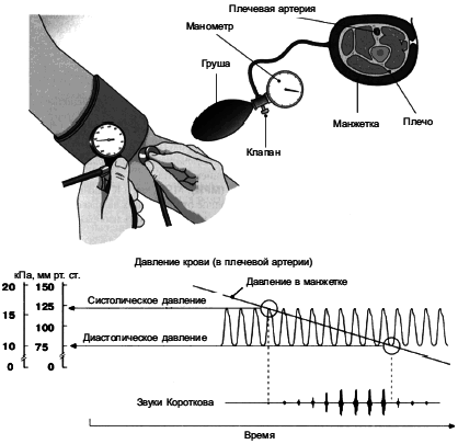 Питание для сердца и сосудов - i_006.png