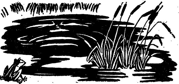 Горицвет (сборник) - img_8.jpg