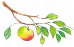 Пять забавных медвежат - i_033.jpg