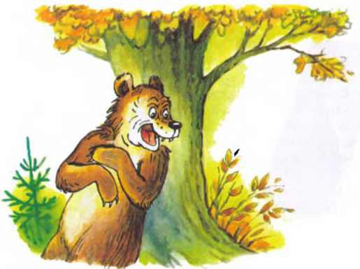 Пять забавных медвежат - i_041.jpg