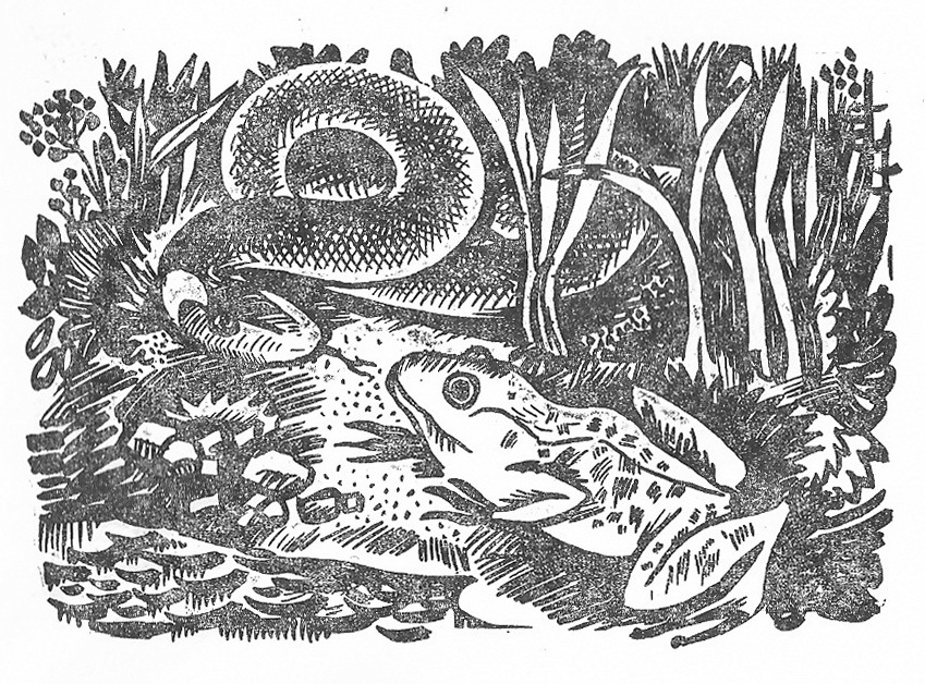 Три веселых зайца (сборник) - _10.jpg