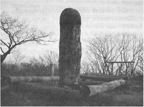 Православие и неоязычество. Где правда? - i_028.jpg