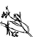 Крушение «Кантокуэна» - i_003.png