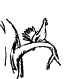 Крушение «Кантокуэна» - i_007.png