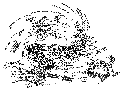 Бешеная акула - i_009.png