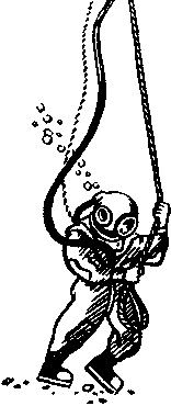 Рыба-одеяло - img_13.png